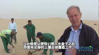 Chinese subtitles Groasis anti desertification instruction film in Dubai to plant trees in deserts [upl. by Jecho]