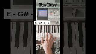 Für Elise  Beethoven  How to Play  Easy Piano Tutorial [upl. by Pernas937]