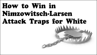 Mastering NimzowitschLarsen Attack Top Traps for Whites Victory [upl. by Ailahk]