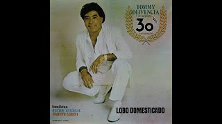 Lobo Domesticado karaoke [upl. by Leschen]