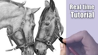 How to draw a leather horse halter  REAL TIME [upl. by Tabby]