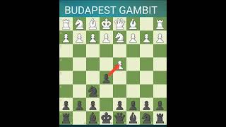 Budapest Gambit [upl. by Gelya]