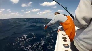 South Carolina offshore fishing [upl. by Yadahs]