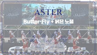 단국대학교 치어리딩 동아리 2024 DANFESTAOrbit  ButterFly 붉은 노을 [upl. by Lonyer]