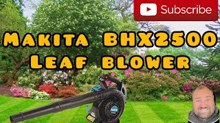 will it run Makita bhx2500 Leaf blower Repair [upl. by Ahsitel]