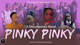 Pinky Pinky  A Documentary Story For The Injectors Secondary School [upl. by Hallsy177]