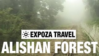 The Alishan Forest Railway Vacation Travel Video Guide [upl. by Alitha]