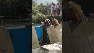 Women washing clothes in river water on dam in village  waterscarcity villagelife shorts [upl. by Eicnarf]