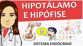 Sistema Endócrino 02  Hipotálamo e hipófise Anatomia histologia e função [upl. by Silevi]