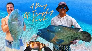 I Finally Catch My Dream Fish On The Great Barrier Reef [upl. by Neroc]