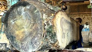 The Unbelievable Transformation Making Planks from Trembesi Logs using a Sawmill [upl. by Beatrisa173]