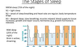 5 Biological Rhythms [upl. by Naget]