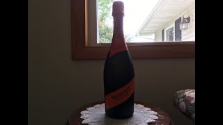 Werby’s Sparkling Wine Review Mionetto Prosecco Brut [upl. by Madeline]