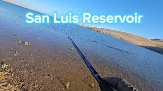 San Luis Reservoir striper fish [upl. by Ahsina]