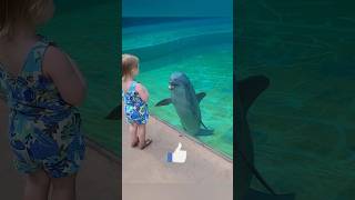 Beautiful Friendship Baby Girl and Dolphin 🥰 shorts [upl. by Wahkuna]