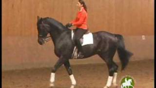 Catherine Haddad Staller on Skeletal Riding and Basics Every Dressage Rider Should Know [upl. by Russom]