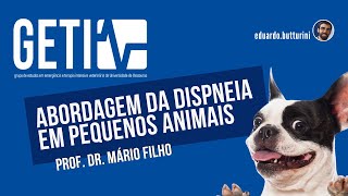 Abordagem da dispneia em pequenos animais  Prof Dr Mário Filho  GETIV [upl. by Stefania]