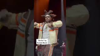 Kodak Black “Skrilla” live at The Novo in LA for Super Bowl Weekend [upl. by Nikolas16]