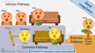 Hemostasis Physiology amp Pharmacology Animated Series Trailer [upl. by Leiba958]