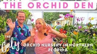 The Beginning of the Expansion of The Orchid Den The only Orchid Nursery in Northern Florida [upl. by Aoket]