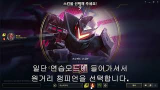 내가 찾은 롤에서 에임연습 하는법 LOL aimbooster [upl. by Nahsor]