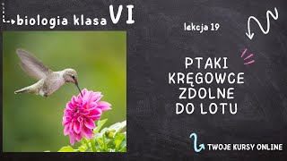 Biologia klasa 6 Lekcja 19  Ptaki  kręgowce zdolne do lotu [upl. by Manbahs]