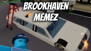 Brookhaven  MEMEZ  Sanjith224 [upl. by Selinski]