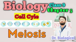 Biology Chapter 5  Meiosis  Crossing Over  Chiasmata  Tetrad  Class 9 Biology [upl. by Schecter]