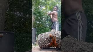 chopping wood axe not sharp enough 🪓🪵🪵reels axe shortsfeed reelsshorts shortsvideo viral [upl. by Maribelle]