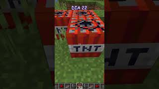 Explotando una TNT por DIA  DIA 22 minecraft viralvideos shorts gaming minecraftmemes [upl. by Scotney]