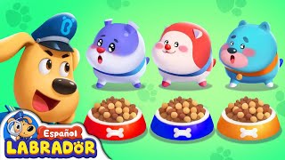 🔍Sheriff Labrador  Adopción de Mascotas 🐹  Videos para Niños  BabyBus en Español [upl. by Ellerol]