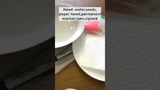 Garden2024 Fast amp Easy Seed Germination using wet paper towel methodpart 1 [upl. by Noirred99]