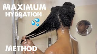 MAXIMUM HYDRATION METHOD  Type 4 Hair [upl. by Ataner]