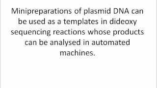 Purification of Plasmid DNA by PEG Precipitation [upl. by Lunna746]