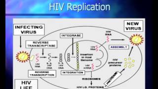 Basic Course in HIV  Pathophysiology and Natural History of HIV Infection [upl. by Palocz]