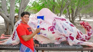 CAMEL ROAST  300 Kg Whole Camel Roast Recipe  Cooking In Dubai Village [upl. by Jake]