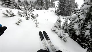 Dynastar M Free 99 at Marmot Basin [upl. by Drugi]