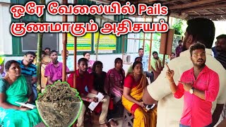 கவலை வேண்டாம் இனி ஒரே வேலையில் Piles யை குணப்படுத்தலாம் Piles Treatment SKM THOTTAM  TAMIL VLOGGER [upl. by Niltak]