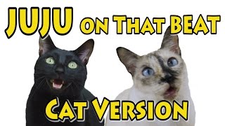 JuJu On That Beat  Cat Version Official Music Video [upl. by Nylyahs]