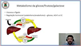 Digestão absorção e metabolismo de carboidratos [upl. by Sillaw]