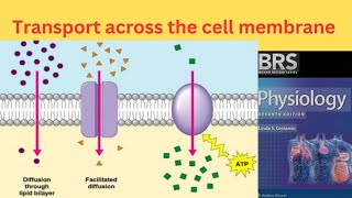 BRS Physiology  Transport across the Cell Membrane  Simple diffusion and Facilitated diffusion [upl. by Jeffries]