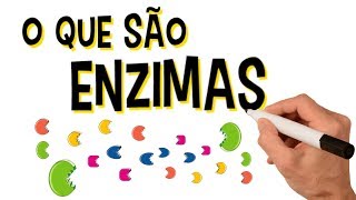 ✅ O QUE SÃO ENZIMAS [upl. by Orrin]