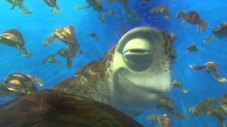 finding nemo clip 4 [upl. by Garald]