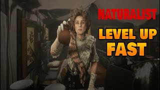 Red Dead Online Tips amp Tricks  How to Level Up Naturalist Role FAST 4K 60fps [upl. by Coulson]