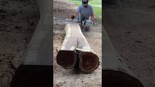 My First Chainsaw Milling Viral Reel on Instagram viral chainsawmill blackwalnut [upl. by Eanad]