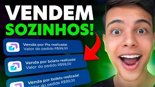 7 PRODUTOS QUE PODEM TE FAZER GANHAR R1000000 POR MÃŠS  Produtos para VENDER Dinheiro online [upl. by Aynuat737]