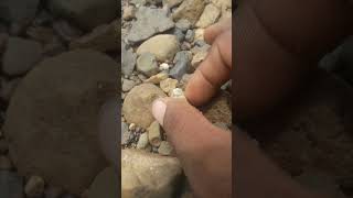 Rockhounding Finding agate  How to find agates [upl. by Erma702]