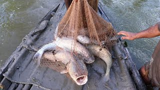 Traditional Cast Net Fishing  Best Fishing Video  Pond Bass Fishing [upl. by Myranda]