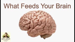 Fuel Your Brain Naturally [upl. by Anela]