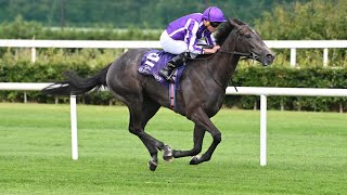 Potential star BEDTIME STORY comfortably maintains unbeaten record at Leopardstown [upl. by Etnauj846]